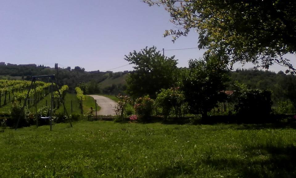 Bed & Breakfast Cascina Beatrice Rodello Ngoại thất bức ảnh